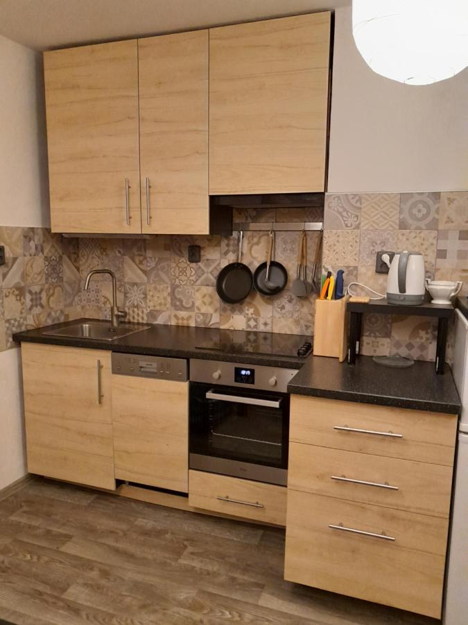שב Apartment Riegerovka מראה חיצוני תמונה