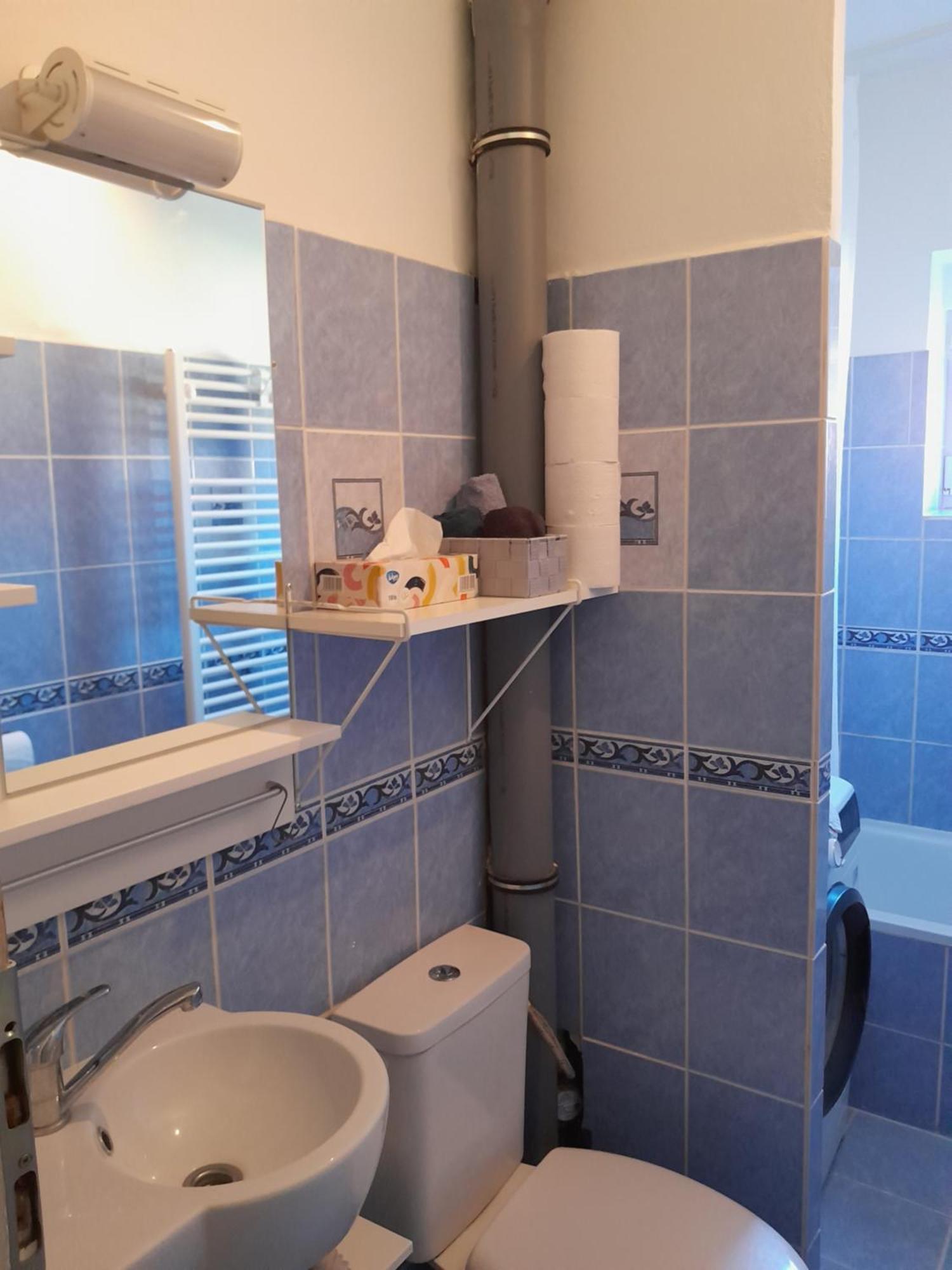 שב Apartment Riegerovka מראה חיצוני תמונה